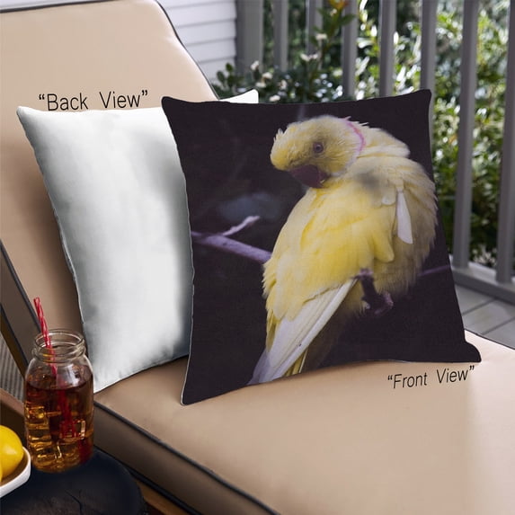 Ahgly Company Animals Parrot Outdoor Throw Pillow, 18 inch by 18 inch