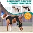 thumbnail image 5 of Dog Knee Brace for Hind Legs ACL Support, Adjustable Double Leg Brace for Arthritis, Luxating Patella & Joint Pain, Secure Fit Recovery Wrap, 5 of 8