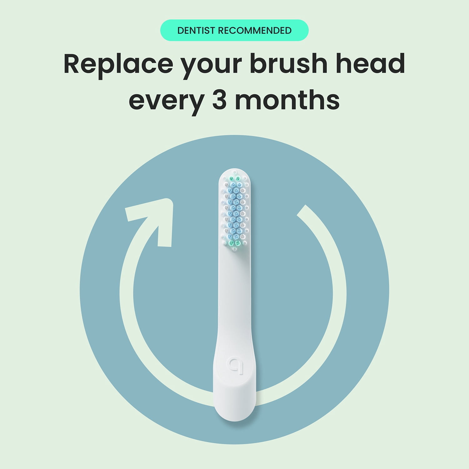 quip Brush Head Refill 2 Pack, Whitening