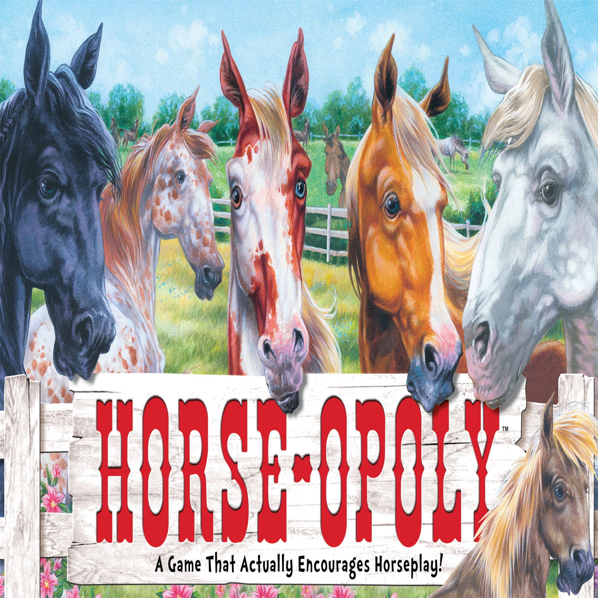 Late for the Sky Horse-Opoly Board Game