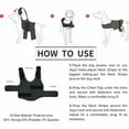 thumbnail image 5 of GASTROPOD 2026 New Thunder Jacket for Dogs Anxiety Relief, Dog Anxiety Vest Calming Care for Separation, Thunderstorm, Travel, Fireworks, Vet Visits, 5 of 5