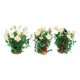 thumbnail image 2 of 3 modelos de flores en miniatura para armar en arena. Gardenia, 2 of 6