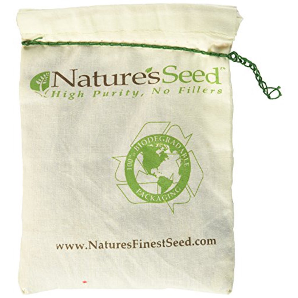 Nature's Seed Great Plains Poultry Pasture Blend, 500 sq. ft. Walmart