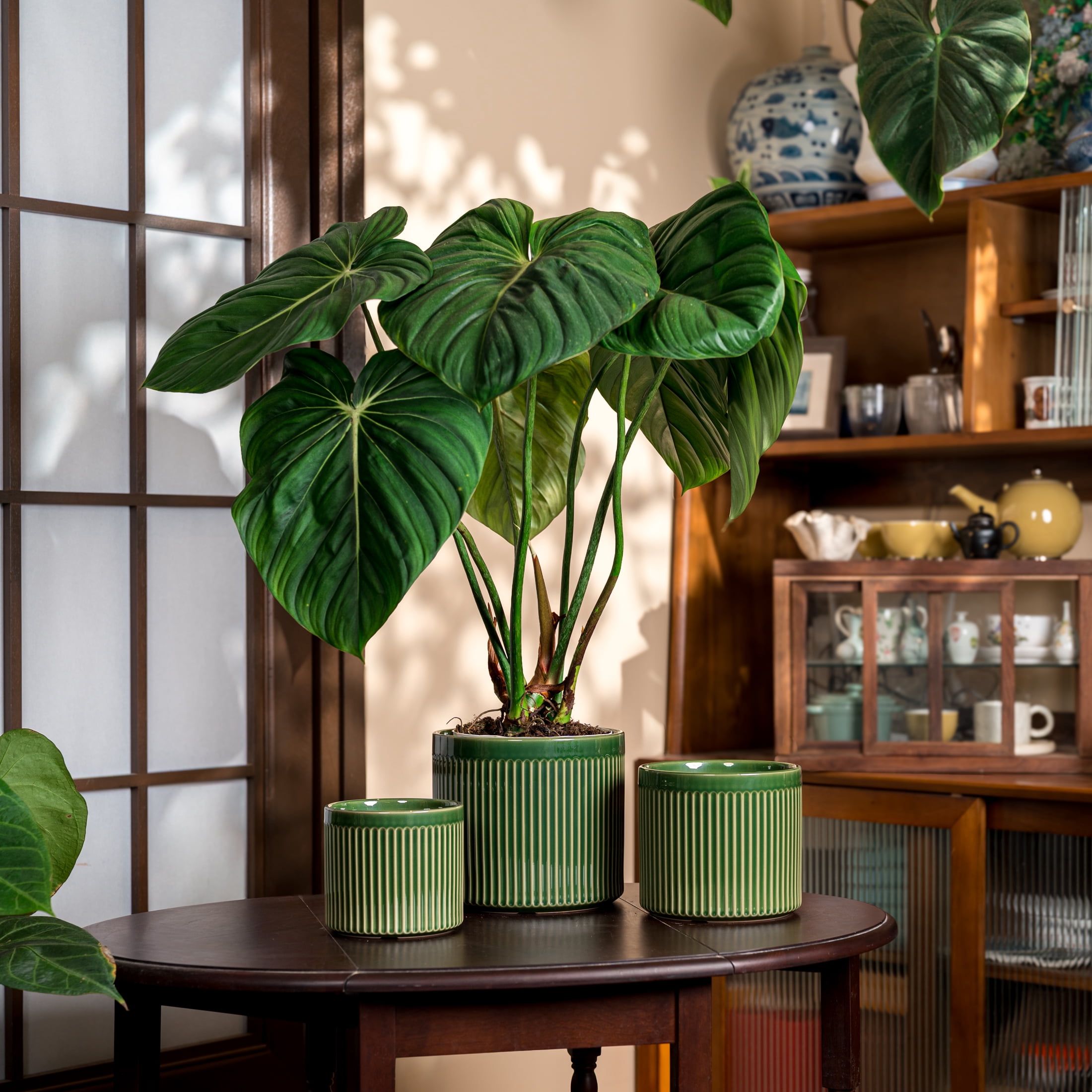 UMIAMOY Modern Cylinder Set of 3 Ceramic Flower Pots,5.7+7.0+8.6 inch Plant Pots with Drainage Holes and Saucer,Indoor Outdoor Planters for Home Patio Garden Decoration