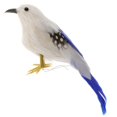 thumbnail image 2 of Ciencia Y Naturaleza Modelo De Pájaro Plumas Artificiales Decoración De Jardín Artesanías Hugo Simulación Pájaro Estatua de juguete, 2 of 9