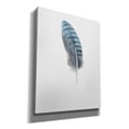 thumbnail image 2 of Epic Graffiti 'Feather 2' by Incado, Giclee Canvas Wall Art, 26"x34", 2 of 8