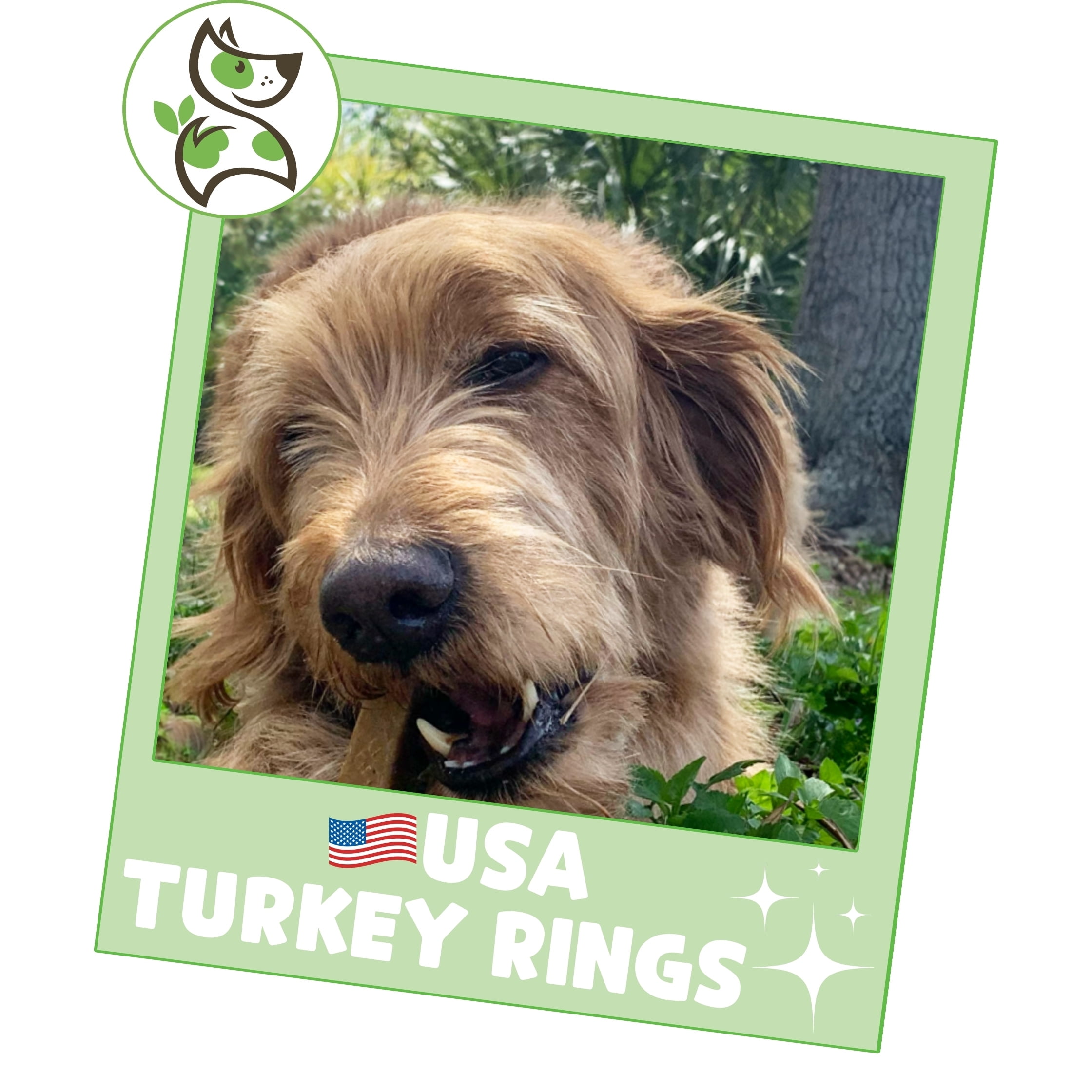 Nature Gnaws Turkey Tendon Rings, Natural Dog Chew Treats (6 count)