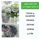 thumbnail image 4 of Piedra Decorativa - Ideal para macetas, Jardines, decoración Smart Garden Granulometría Mediana, Sea Stone, 4 of 6