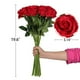 thumbnail image 4 of Rosa Artificial Rosas de Seda Roja con Ramo de Flores de Tallo DecoracióN para el Hogar Fiesta de Boda, Paquete de 10 (Rojo), 4 of 5