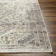 thumbnail image 5 of Mark&Day Washable Rugs, 5x7 Tonganoxie Traditional Beige Area Rug, Beige Grey Carpet for Living Room, Bedroom or Kitchen (5'3" x 7'3", Machine Washable), 5 of 6