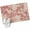 Light Beige Light Pink, variant on Peaches Branches Entryway Rug 2'x3' Non Slip Front Door Mats, Farmhouse Spring Botanical Pink Flowers Entrance Rugs Indoor Outdoor Carpet, Washable Floor Mats Small Area Rug for Bedroom Kitchen
