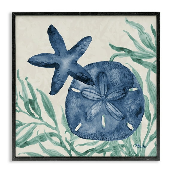 Stupell Industries Tampico Starfish & Sand Dollar Black Framed Giclee Art design by Paul Brent, 12 x 12