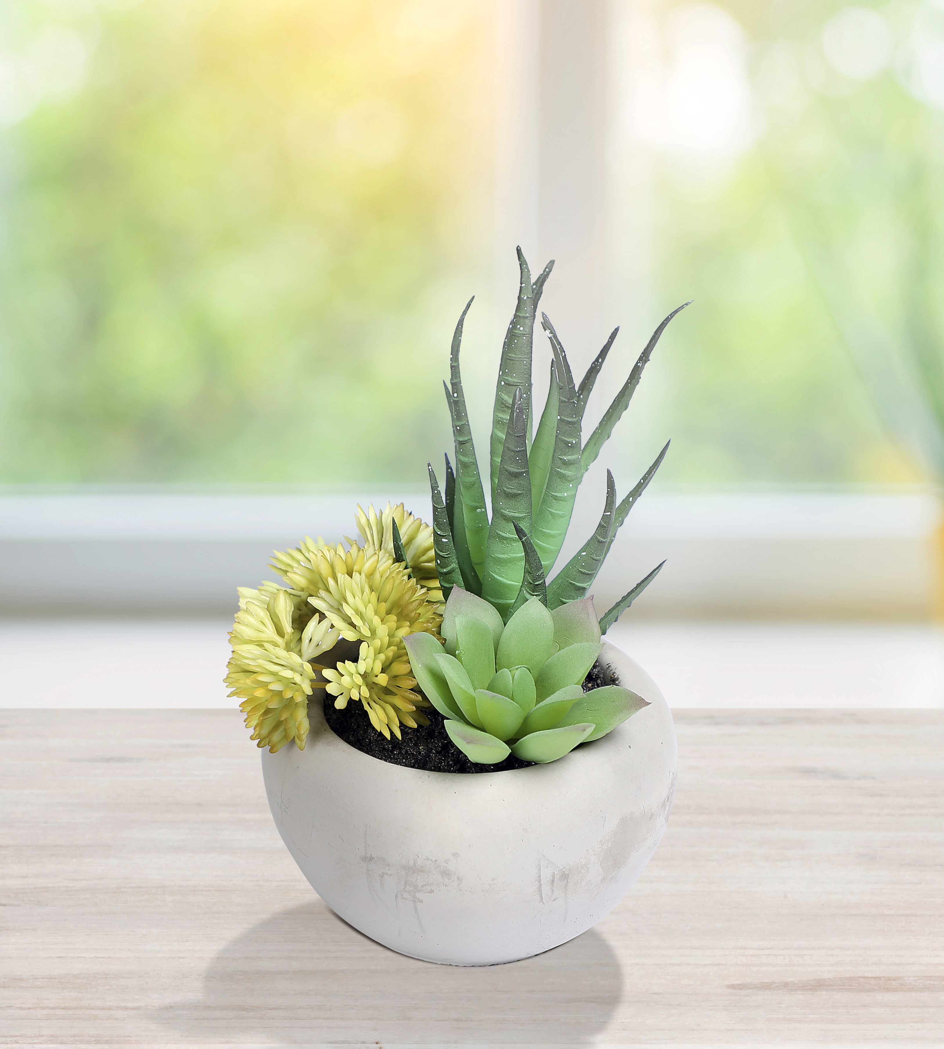 Mainstays 5.5" Artificial Succulent Plant in Cement Pot, Green and Yellow Color