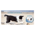 thumbnail image 3 of Paquete de 20 latas Nupec cachorro humedo 100 gr, 3 of 3
