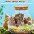 thumbnail image 3 of HEANUJJ 2Pcs Decorative Terrarium Glass Container Transparent for Home Decor and Gardening, 3 of 8