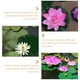thumbnail image 3 of 3 unids Lotus Lotus hoja vívida Fishpond Lotus Leaf Fish Tank Decoration, 3 of 6