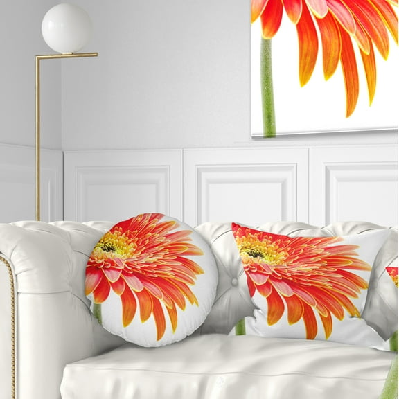 Designart Orange Gerbera on White Background - Floral Throw Pillow - 12x20