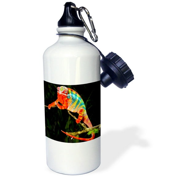 3dRose, Rainbow Panther Chameleon, Lizard in Madagascar - NA02 DNO0829 - David Northcott, 21 oz Sports Water Bottle