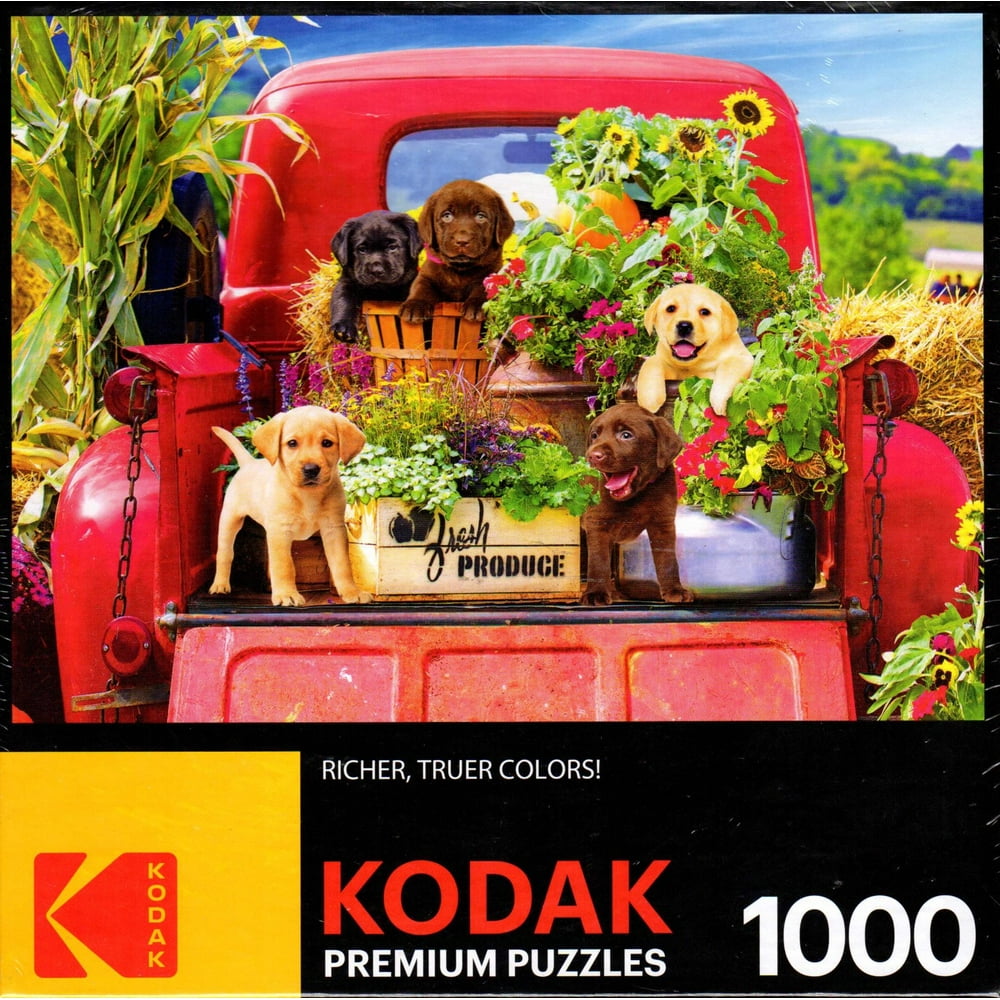 Kodak 1000 Piece Jigsaw Puzzle Stowaways