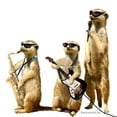 thumbnail image 3 of CafePress - Meerkat Trio2 Light T Shirt - Light T-Shirt - CP, 3 of 4