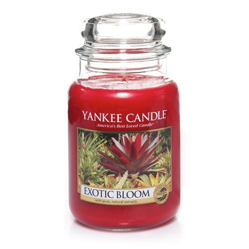 Exotic Bloom Large Jar Candle, Floral Scent, No exotic escape is