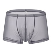 TANBOM Men's Sexy Mesh See Briefs Nylon Underwear Pack Gray M 1-Pack