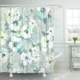 thumbnail image 1 of ABPHQTO Cortina De Ducha De Poliéster Aguamarina Blanca Delicada Verde Floral Como Acuarela Patrón Azul 152x180 cm ABPHQTO PKNMT60x72Shower-1050, 1 of 2