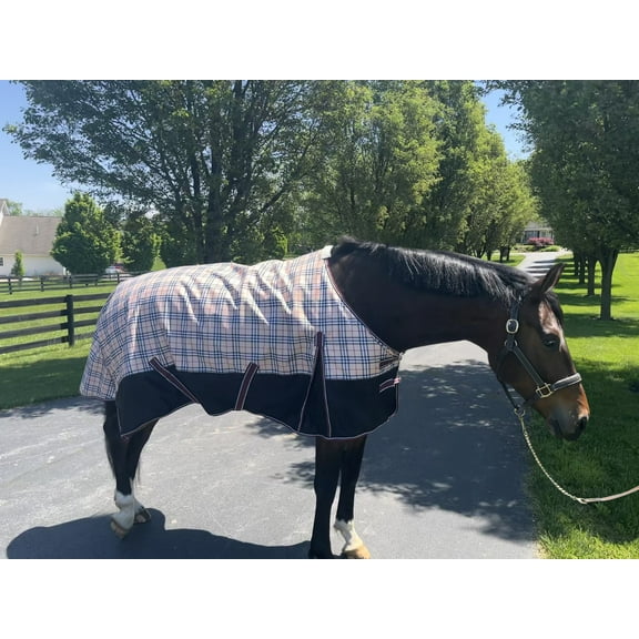 TuffRider Comfy 1200 D Medium Weight 200 GMS Standard Neck Blanket- Beige and Black Plaid- 69