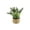 A, variant on Pnmtdaia Artificial Mini Pine Potted Plant with Red Berries Handwoven Rattan Basket Base Fake Evergreen Small Tabletop Greenery for Christmas Winter Holiday Home Shelf Window Decor
