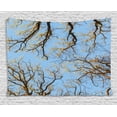 thumbnail image 1 of Forest Home Decor Tapestry, Crown of Trees under Vibrant Sky Twig Birch Tranquil Air Radial Image, Wall Hanging for Bedroom Living Room Dorm Decor, 80W X 60L Inches, Blue Brown, by Ambesonne, 1 of 2