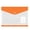 Orange, variant on 1 Pcs Binder Folders Organizer,Binder Pocket,Plastic Envelopes Binder Folders,11 Holes Expandable Binder Folders,Plastic Expanding File Folders with Label & Snap Button Closure for School,(Red)
