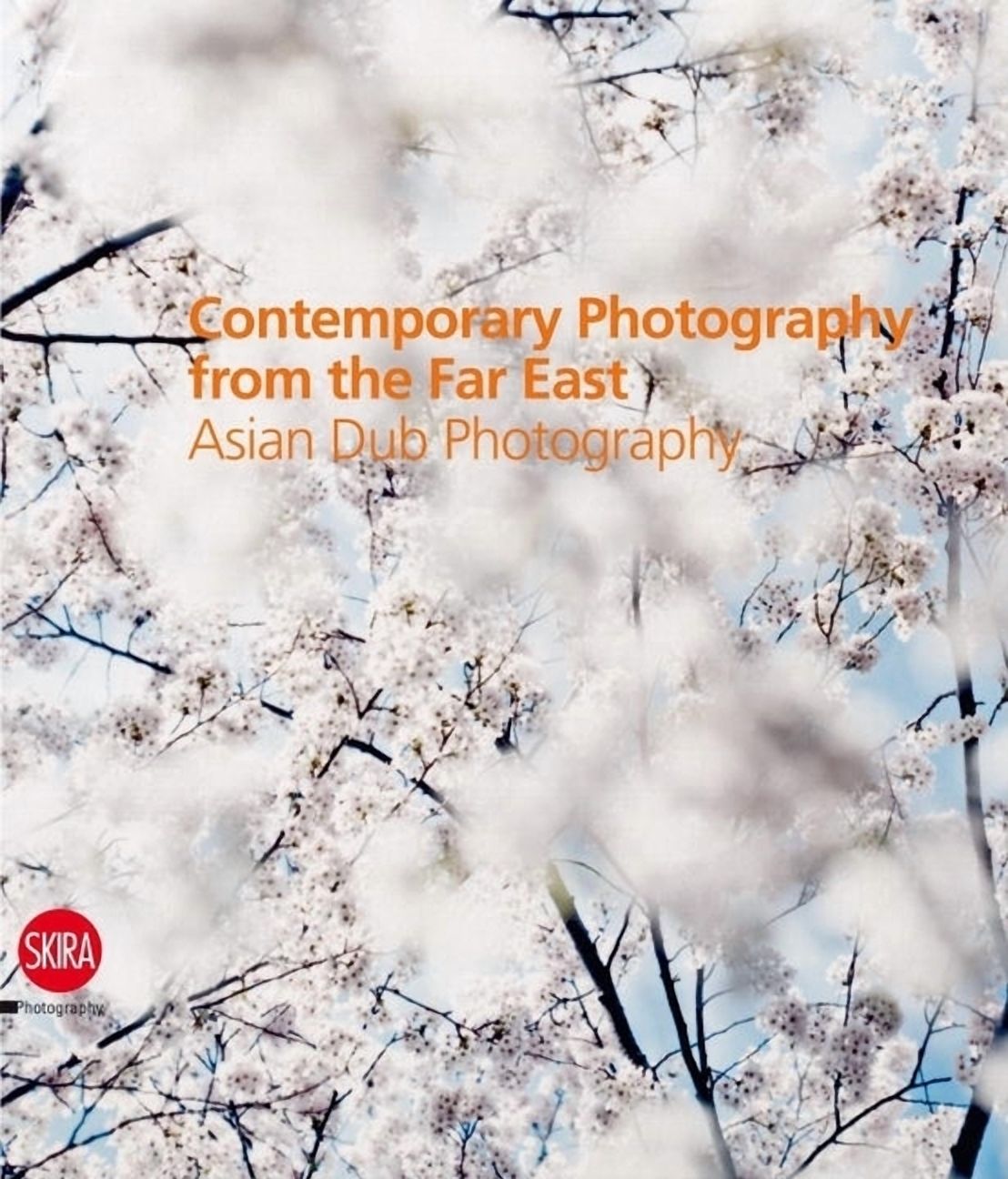 Contemporary Photography from the Far East: Asian Dub Photography, (Hardcover)