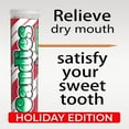 thumbnail image 4 of Xero Picks Candies - Candy Cane - Infused Flavored Toothpicks - 20 Picks - 3 Pack, 4 of 8