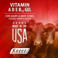 thumbnail image 3 of Kaeco Group Inc. Vitamin A-D-E-B12 Gel 300 ml, 3 of 4