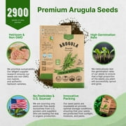 Organo Republic Arugula Roquette Seeds – 2,900+ Non-GMO Heirloom Seeds, 5g Packet for Planting Greens Indoors & Outdoors, Spicy Salad Leaf for Home Garden