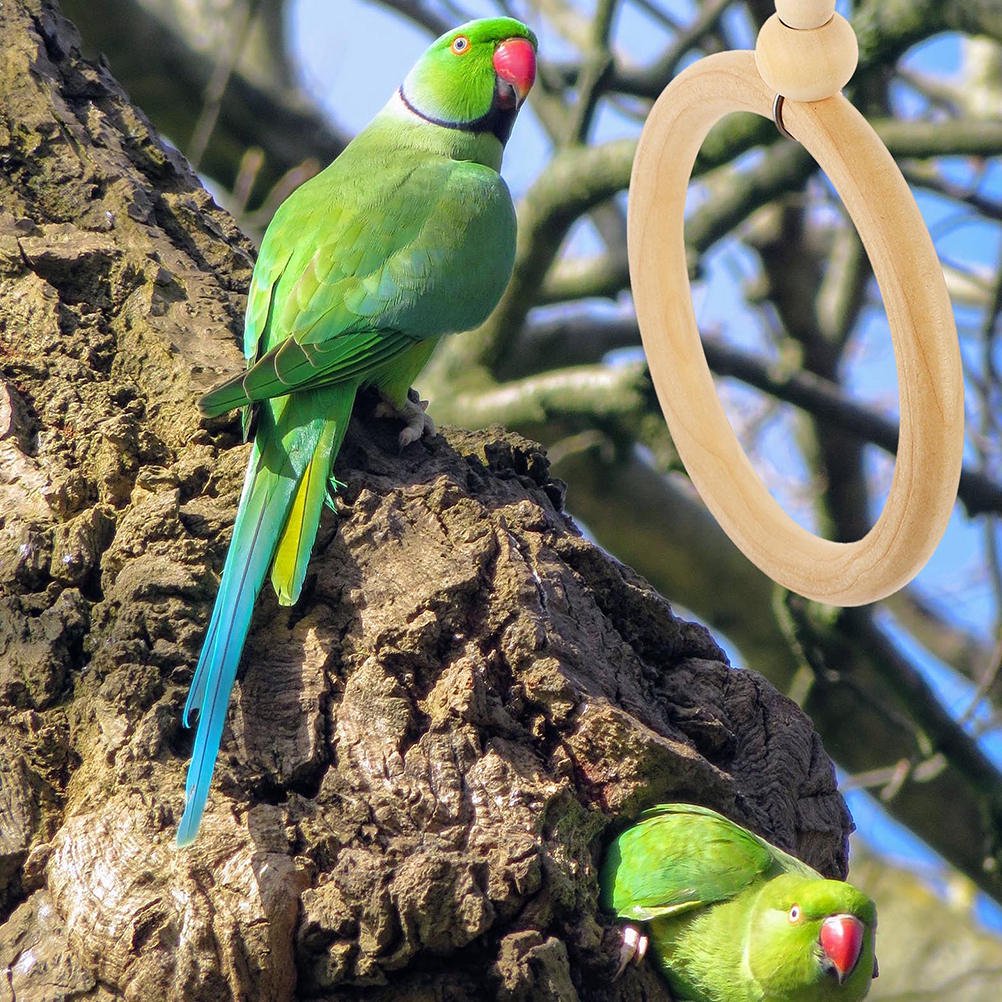 Luxshiny Wooden Hanging Bird Swing for Parrot Cage Promotes Balance and Activity