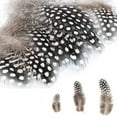 thumbnail image 4 of 200PCS Assorted Feathers, 4 Styles Chicken Feathers for DIY Crafts Dream Catcher Carnival Costume Party Mask Decoration, 4 of 7