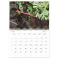 thumbnail image 5 of Insect terraristics (Monthly Wall Calendar 2026 11.7 x 16.5 (open)), CALVENDO 14 Month Calendar, 5 of 9
