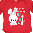 thumbnail image 4 of Inktastic Somebunny is One First Birthday Bunny Boys or Girls Long Sleeve Baby Bodysuit, 4 of 5