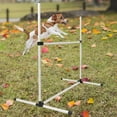 thumbnail image 6 of Rvaymup Portable Dog Jump Training Set 4 Poles Adjustable Height Includes Storage Bag, 6 of 8