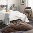 thumbnail image 2 of Bobcat Rug 6x9 Area Rugs for Bedroom Living Room, Wildcat Area Rug, Wild Animal Carpet Machine Washable Non-Slip Large Rug, Soft Low Pile Area Rug, Indoor Decorative Rug d&ip112, 2 of 6