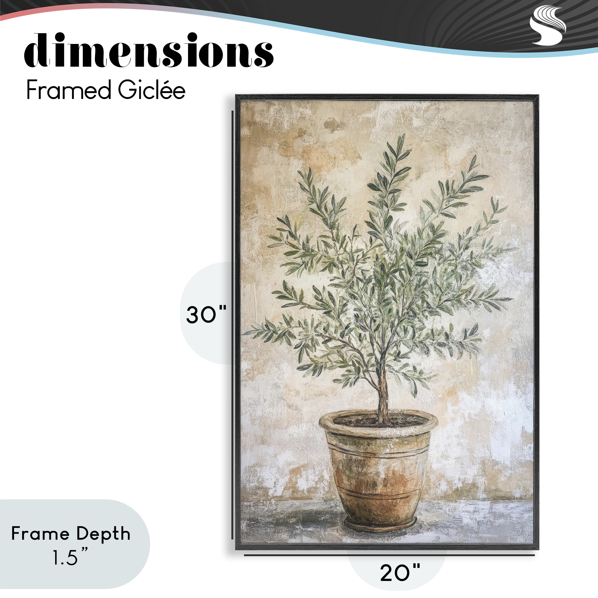 Stupell Industries Mediterranean Potted Olive Black Framed Giclee Art, design by Petal Prints Design