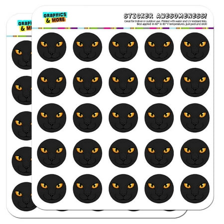 - Black Cat Face Pet Kitty 1