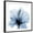 Black Frame, variant on Art.com Indigo Hibiscus Art Print by Albert Koetsier, 16" x 16"