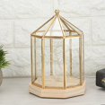 thumbnail image 4 of Geometric Shape Elegant Plants Glass Cover Succulent Plant Holder Home Garden Decoration, 4 of 4