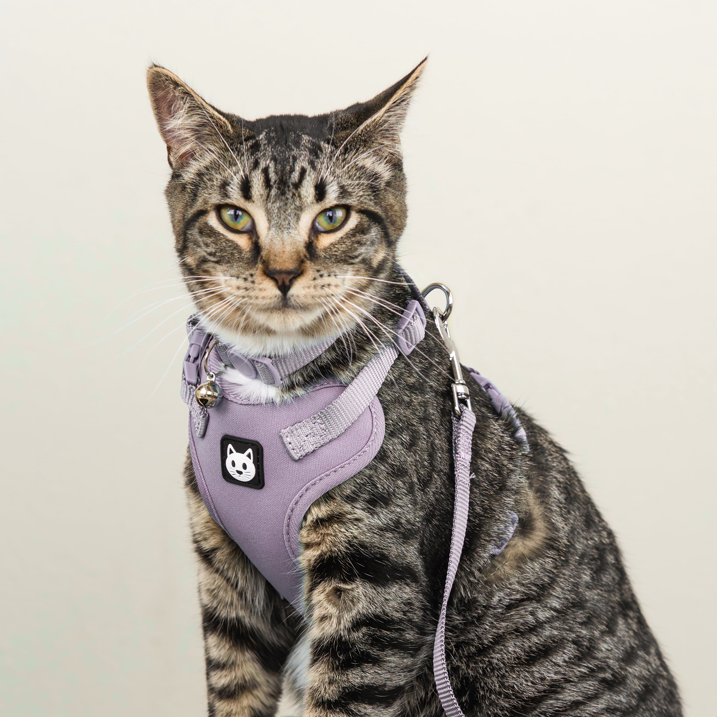 Vibrant Life Polyester Comfort Cat Harness and Leash Set, Lavender, One Size