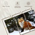 thumbnail image 6 of Elephant Stock Winter Red Fox Wall Art - Horizontal Multi Panel Canvas - Living Room Wall Decor - Animal Multi Panel - Brown And Orange Decor - 74" x 48", 6 of 8