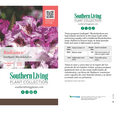 thumbnail image 6 of Southern Living Southgate Radiance Rhododendron Live Shrub in 2.5-Quart Grower Pot, 6 of 10