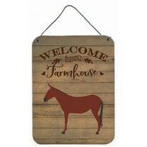 Caroline's Treasures CK6794DS1216 Hinny Horse Donkey Welcome Wall or Door Hanging Prints, 12x16, multicolor