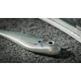 thumbnail image 5 of PowerBait® Hollow Belly, 5 of 6